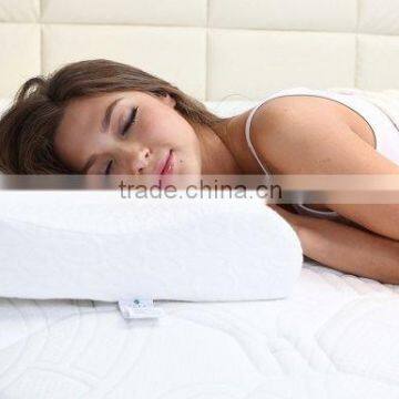 Hot Sale Aloe Vera Memory Foam Pillow