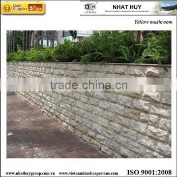 Vietnam cladding stone