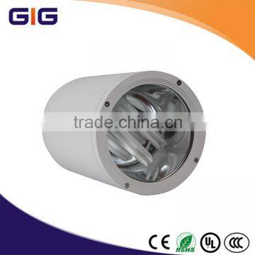 New Style 30W Die Casting Aluminum Led down Lighting