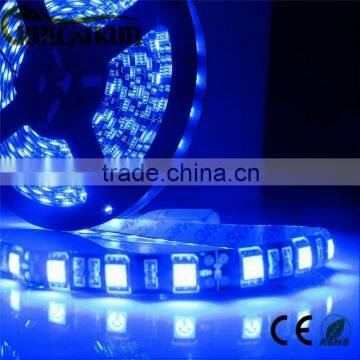 Led World Black PCB 5M 5050 SMD 300 Leds Flexible Strip Lights Blue color Waterproof DC12V