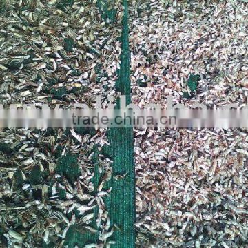 SUN DRIED SHRIMP SHELL - CHEAP PRICE