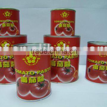 Canned food,Canned tomato paste,tomato paste(720)