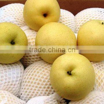 fresh Chinese shandong pear