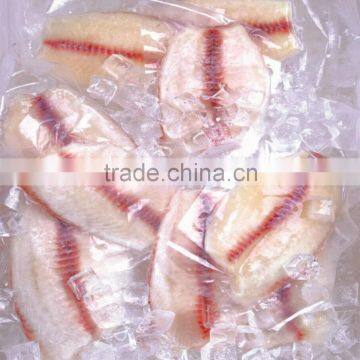 Top quality frozen tilapia fillet China origin