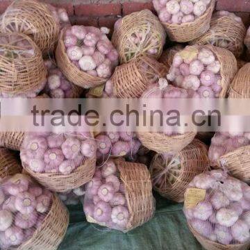 Garlic ( White - Red ) High Quality photo-4