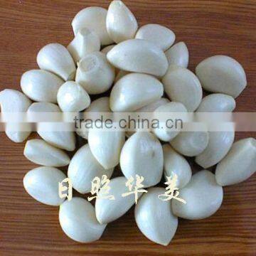 New Crop High Quality Fresh Garlic Directly Supply photo-2