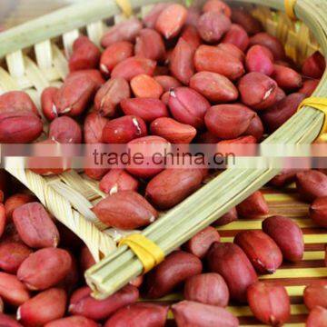 Red Skin Peanuts 50/60 40/50/blanched Peanuts/peanut in Shell photo-2