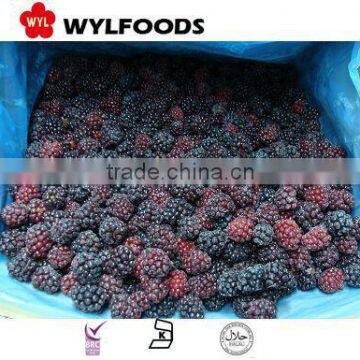 hot selling!!IQF blackberry from China new crop good quality