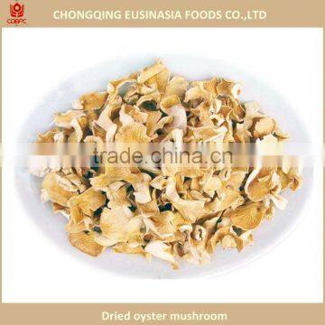 Edible Dried Oyster Mushroom Slice