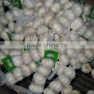 2014 new crop ,250g/bag ,fresh white garlic