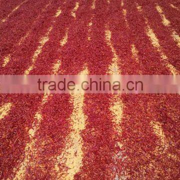 Chilli Wholesaler elongated chilli dried chilli threaded