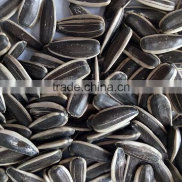 Sunflowers seeds buyers from Inner mongolia 0409 363