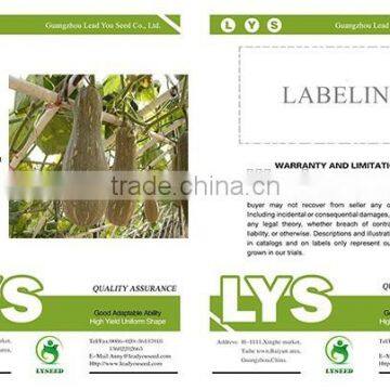 PU02 Lijian f1 Hybrid Sweet Pumpkin Seeds for Planting photo-2