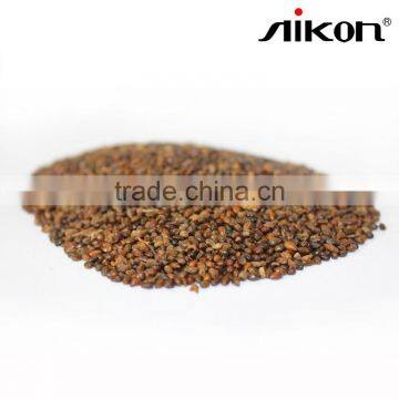 Seabuckthorn Seed photo-3