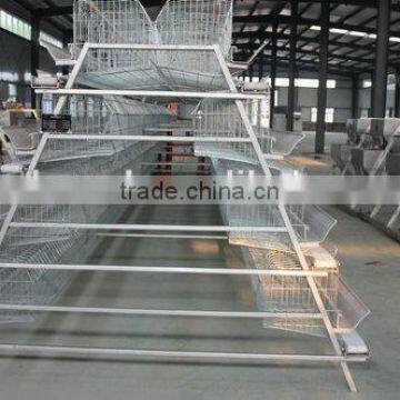 A or H type Poultry Cage of PVC water pipe