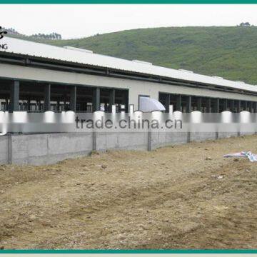 economical prefab sandwich panel steel structural chicken shed designs