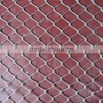trammel net