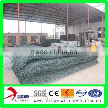 pvc hexagonal netting mesh/hexagonal mesh