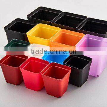 Flower Pot for succulent plant