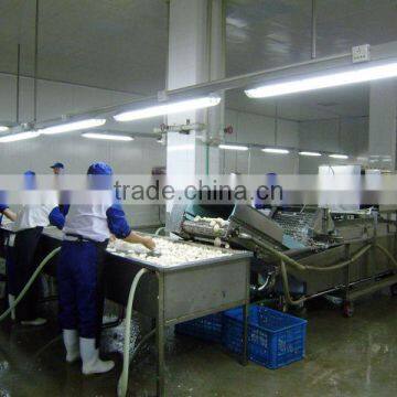 Vegetables and Fruits Bubble Washer photo-2