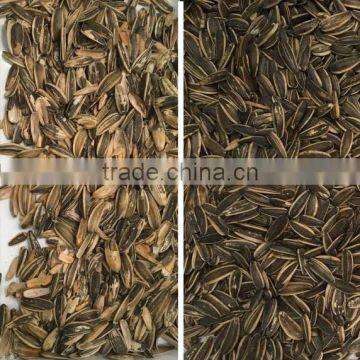 Sunflower Seeds Color Sorting Machine/sunflower Seeds Color Sorter Machine photo-5