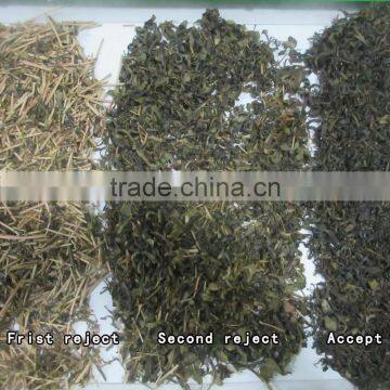 ZRWS Intelligent Color CCD Camera Green Tea Color Sorter photo-3