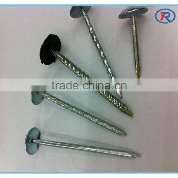 china supply electro galvanized smooth/twisted/corrugated umbrella roofing nail