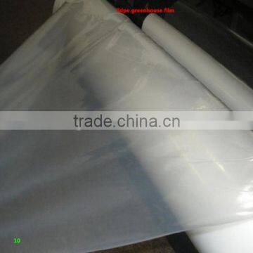 new discount !!LDPE agricultural film/LDPE agricultural film for greenhouse film/greenhouse film