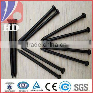 Concrete Nails /black concrete nails supplier with best quality manufacture