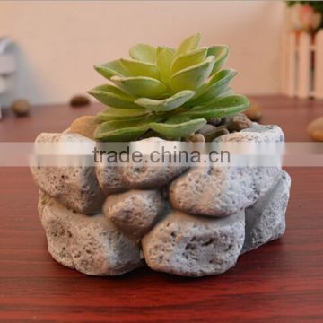 Succulent plant small indoor stone flowerpot