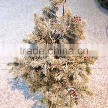 60cm Artificial all white Christmas ornamental small fake pine tree with snow effect