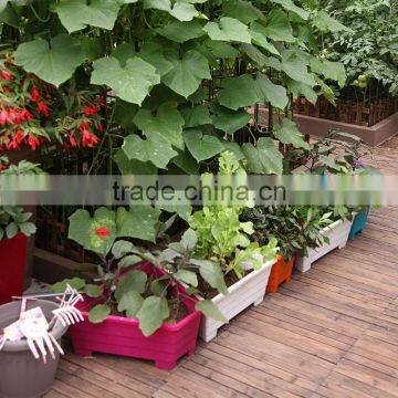 geometry colored plastic plant pots