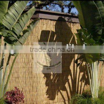 Reed Fence photo-6