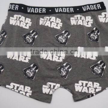 Fashion License Children Boys Boxer Underwear photo-2
