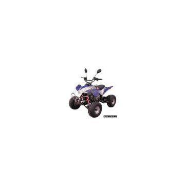 Newest 110cc ATV/Quad