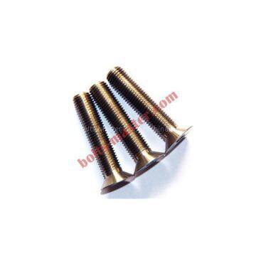 Titanium Slotted Flat Countersunk Head Bolts