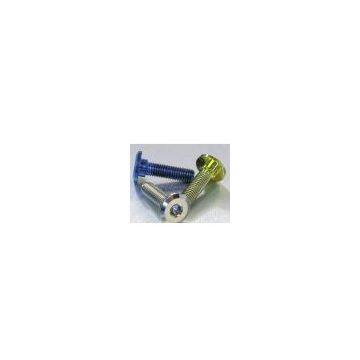 GR2,GR5Titanium Screw, Bolt, Nuts, Thread Rod of DIN Standard From M1 to M24