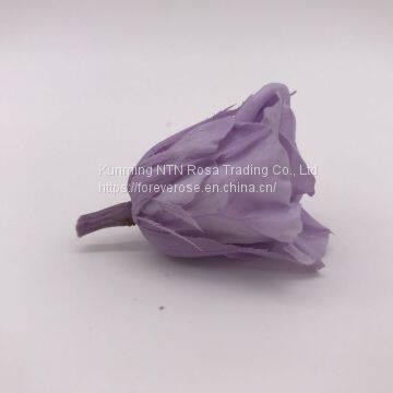 Wholesale3-4cm Elegant Real Touch Preserved Rose Flower photo-4