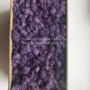 Предлагается от завода консервированный зелёный мох для DIY цветочных коробок
