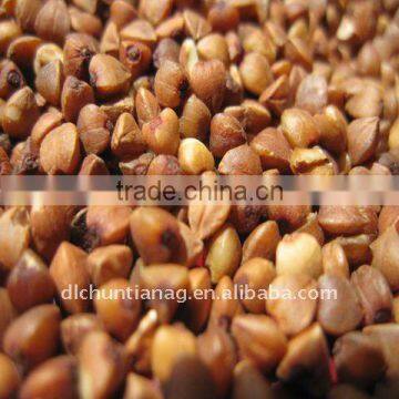 Organic chinese roasted buckwheat kernels