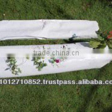 HYDROPONICS GROW BAG