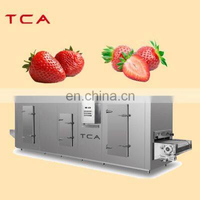 Industrial IQF Fast Freezing Machine Quick Frozen Equipment Blast Tunnel Freezer Nitrogen Machine