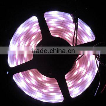 Tube Waterproof DC5V Dream Color Changing & Full Color Changing RGB WS2812 Flexible LED Strip Euipped With 5050 SMD photo-5
