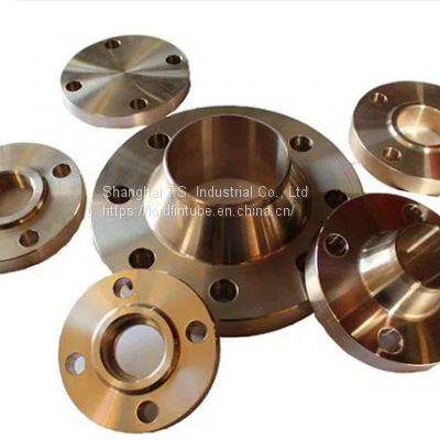 Copper Nickel Flange