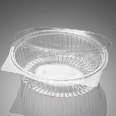 8oz to 64oz Hinged Container photo-4