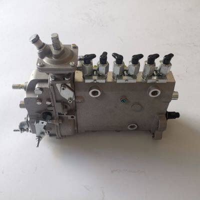 Faktorielles Verkauf: 6CT5.9 Motor-Kraftstoffeinspritzpumpe Bos 0400866197