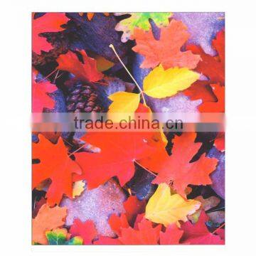 Glossy 180mic Self Adhesive Eco Solvent Glossy pp Film