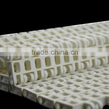 Vera ISO manufacturer plastic modular conveyor belt