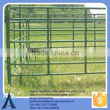 Oval Rail 30mm*60mm*1.6mmT lowes cattle panels