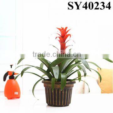 Round big plastic flower pot garden